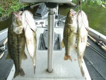 image Big Spotted bass! 010.JPG
